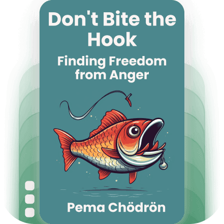 Don't Bite the Hook: Finding Freedom from Anger, Resentment, and Other Destructive Emotions